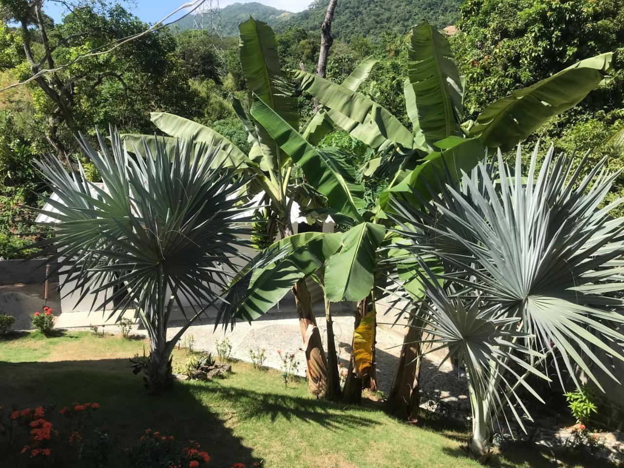 Deep Forest Posadas Ecoturisticas El Zaino Exterior photo